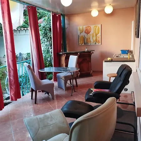 35 M2 Patio Sur Jardin Lejlighed